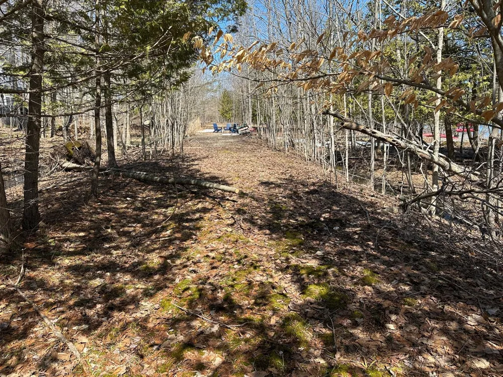 4944 Benway Lane Central Lake Township, MI 49622