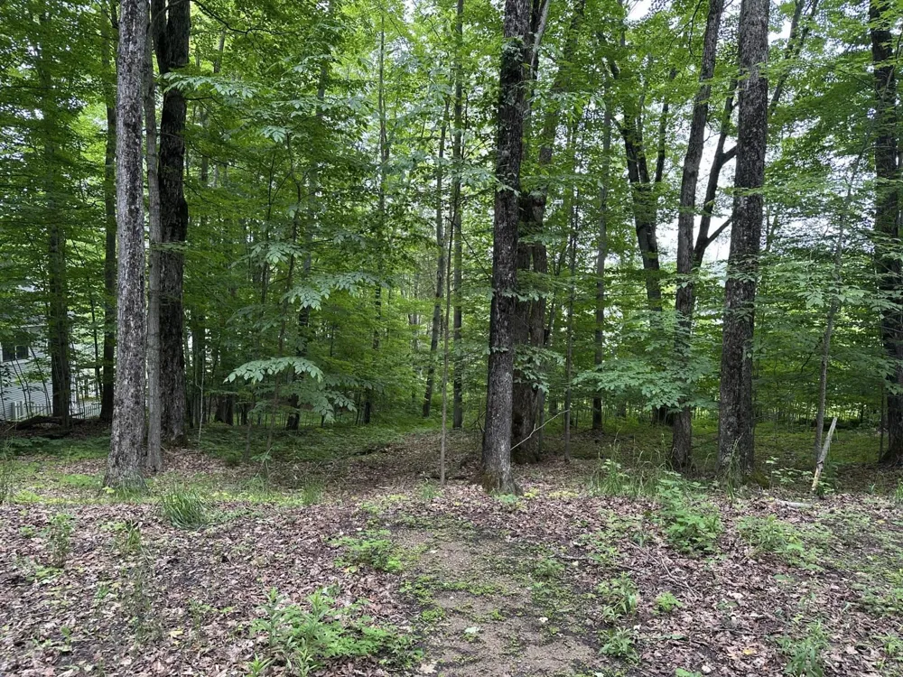 4944 Benway Lane Central Lake Township, MI 49622