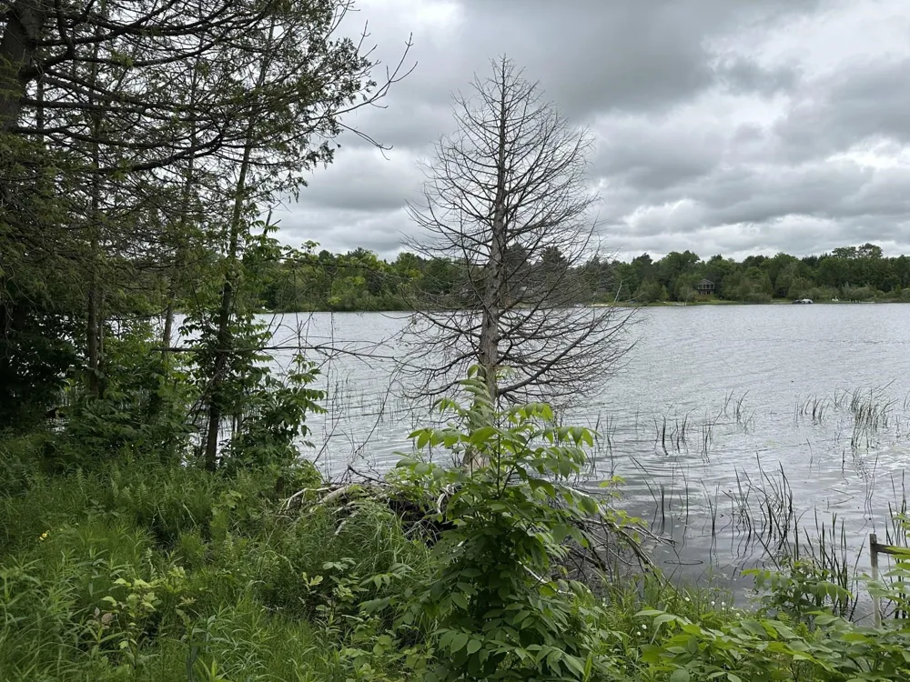4944 Benway Lane Central Lake Township, MI 49622