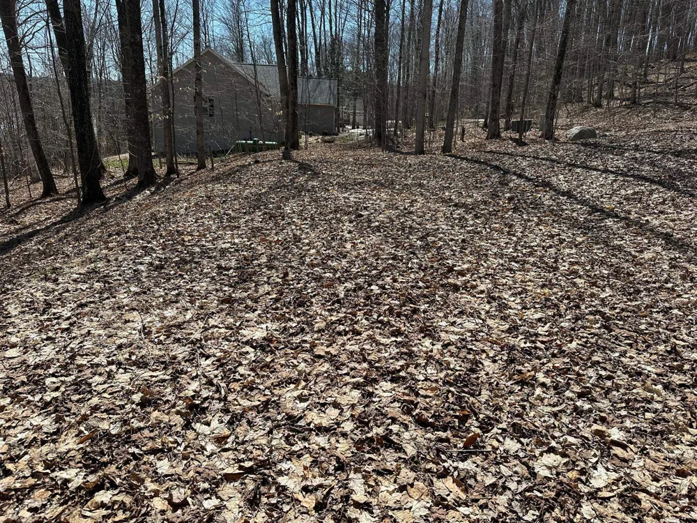 4944 Benway Lane Central Lake Township, MI 49622