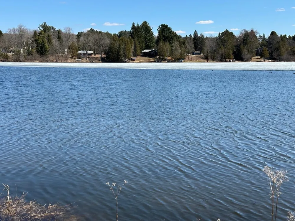 4944 Benway Lane Central Lake Township, MI 49622