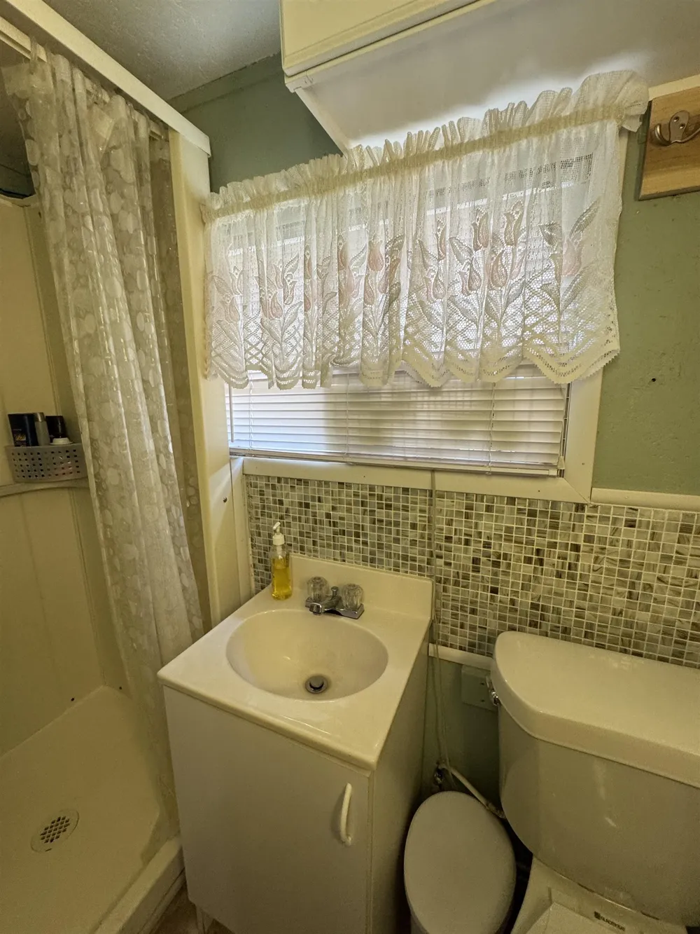 5110 Lucinda Drive Mills Township, MI 48756