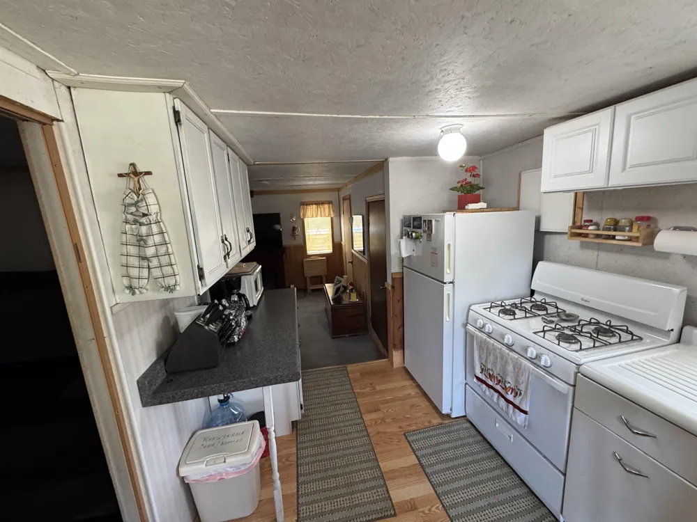 5110 Lucinda Drive Mills Township, MI 48756