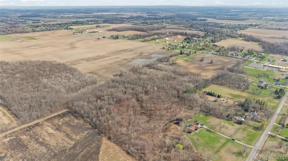 4 Carleton Rockwood Ash Township, MI 48117