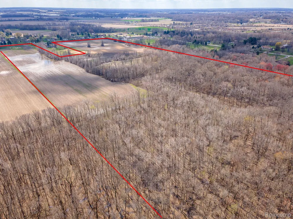 4 Carleton Rockwood Ash Township, MI 48117