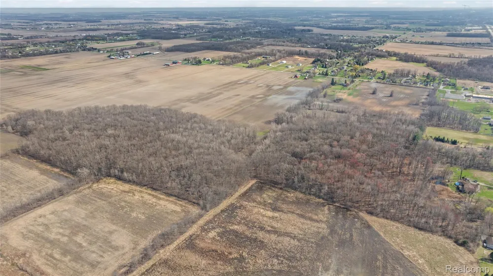 5 Carleton Rockwood Ash Township, MI 48117