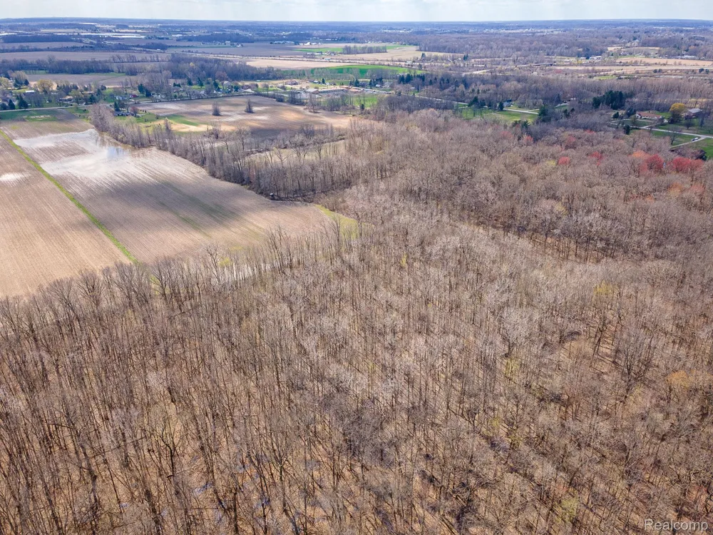5 Carleton Rockwood Ash Township, MI 48117