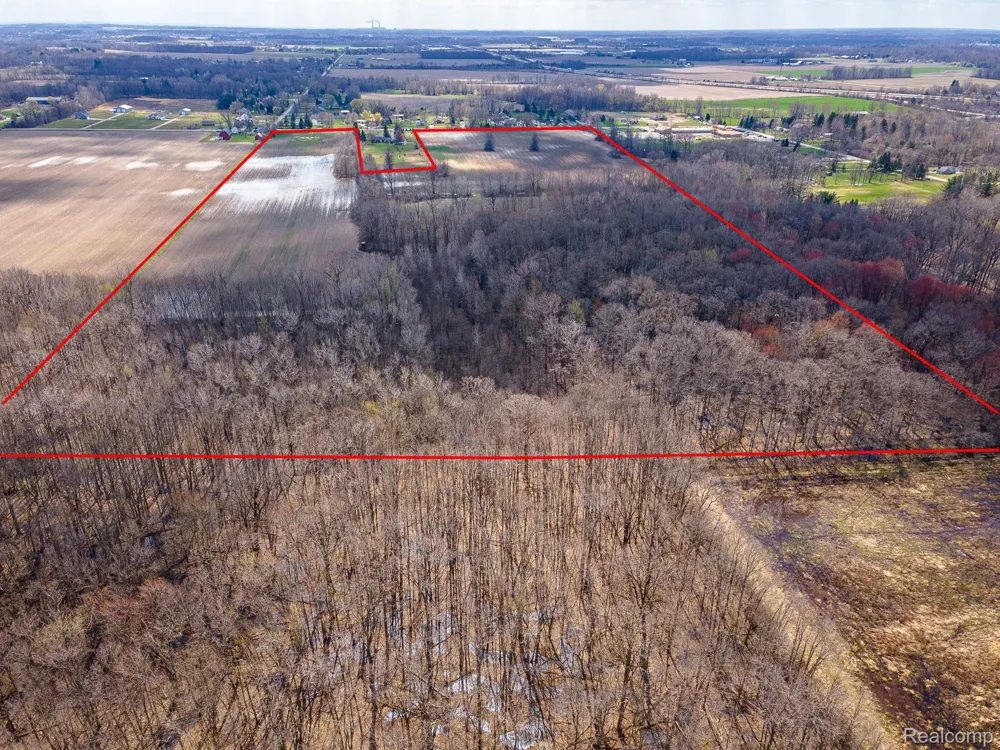 5 Carleton Rockwood Ash Township, MI 48117