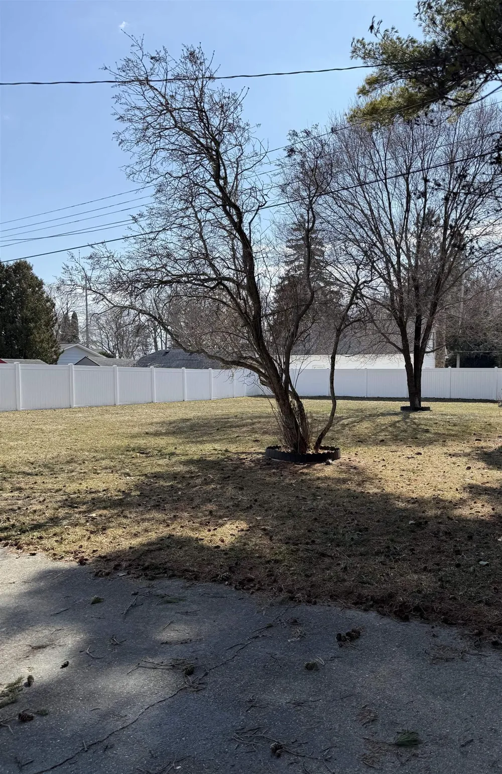 713 W Lincoln Baldwin Township, MI 48730