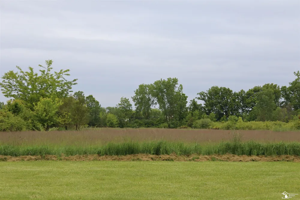 163 E Sterns Road Bedford Township, MI 48182