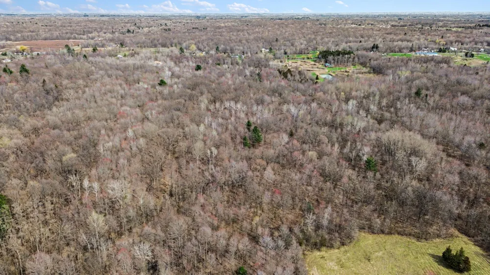 45284 Co Rd 703 Covert Township, MI 49038