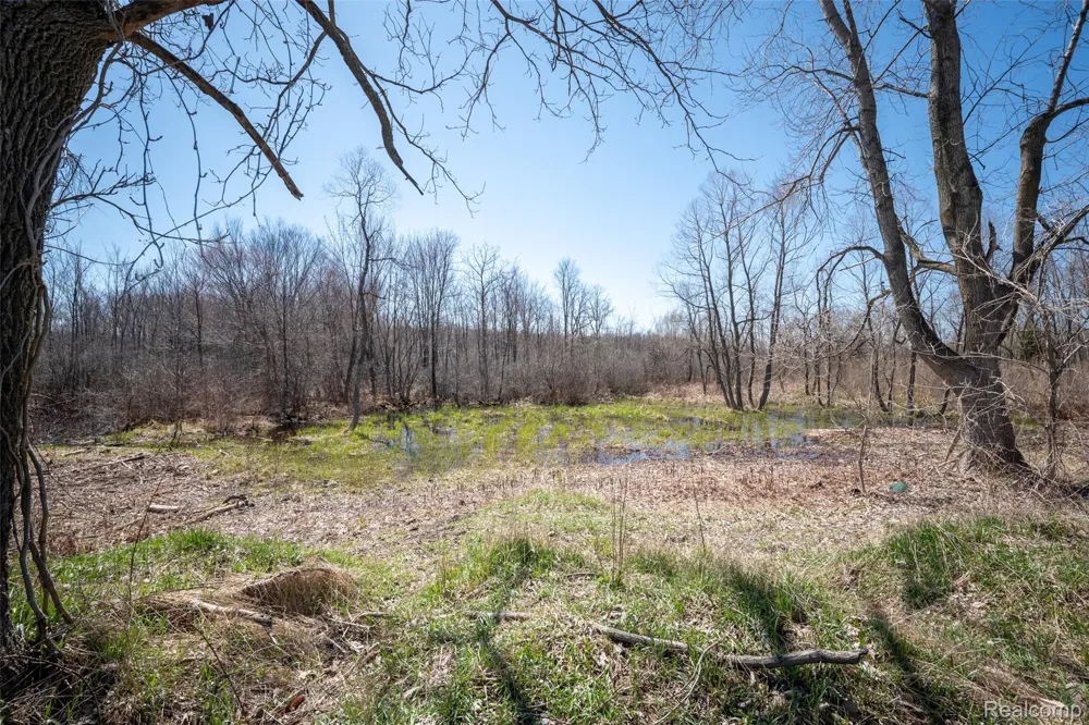 825 W Rose Center Road Holly Township, MI 48442