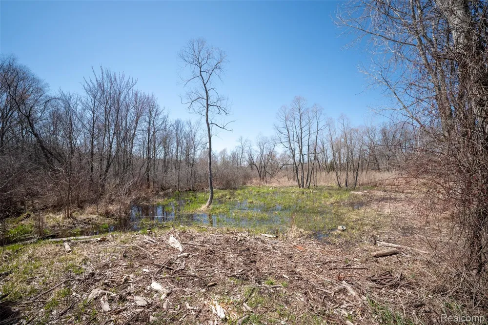825 W Rose Center Road Holly Township, MI 48442