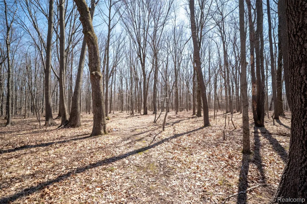 825 W Rose Center Road Holly Township, MI 48442