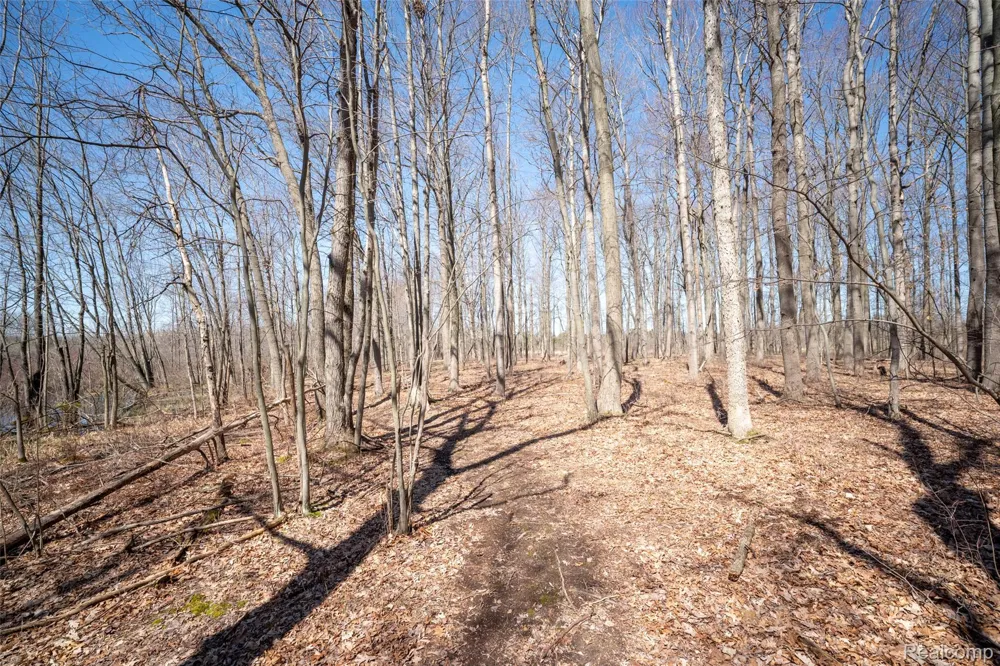 825 W Rose Center Road Holly Township, MI 48442