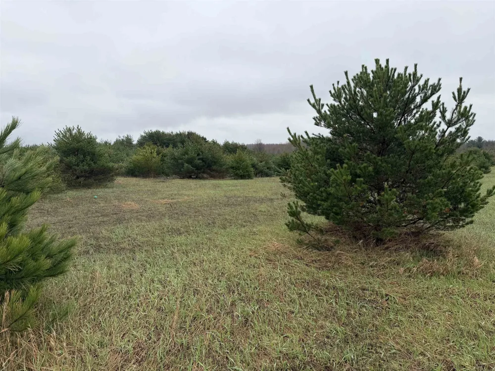 E Sparling Road Paradise Township, MI 49649
