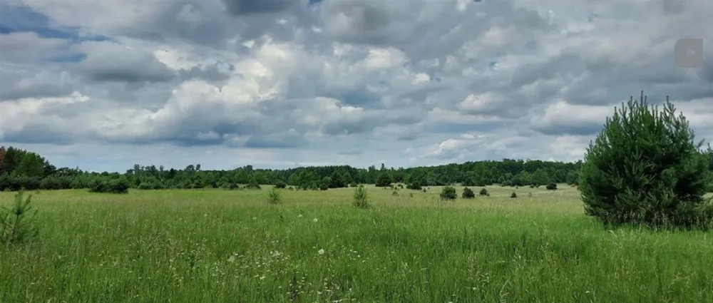 E Sparling Road Paradise Township, MI 49649