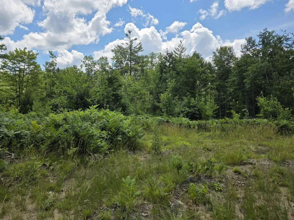 Mackinaw Trail Haring Charter Township, MI 49601