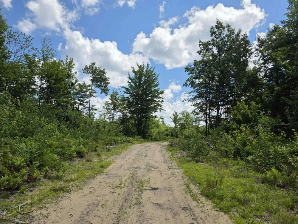 Mackinaw Trail Haring Charter Township, MI 49601