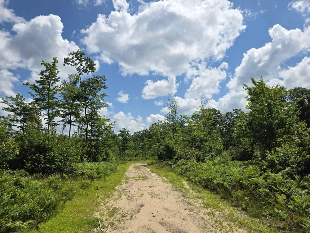Mackinaw Trail Haring Charter Township, MI 49601
