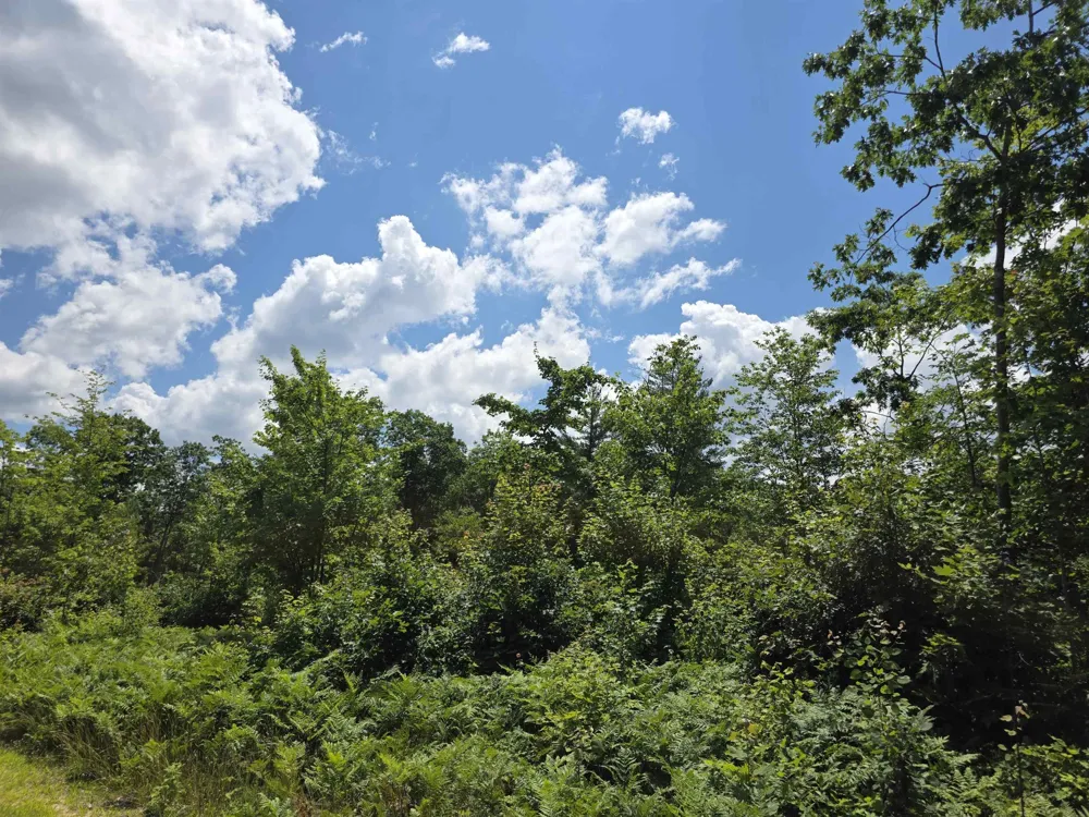 Mackinaw Trail Haring Charter Township, MI 49601