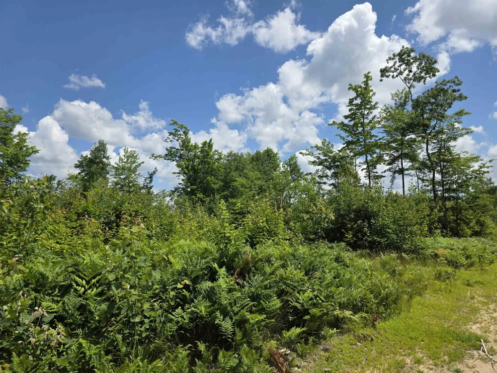 Mackinaw Trail Haring Charter Township, MI 49601