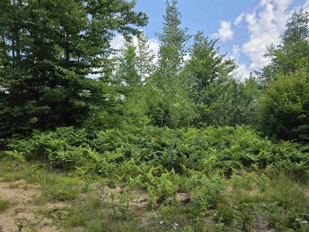 Mackinaw Trail Haring Charter Township, MI 49601