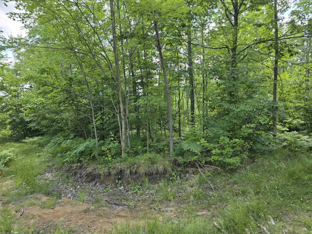 Mackinaw Trail Haring Charter Township, MI 49601