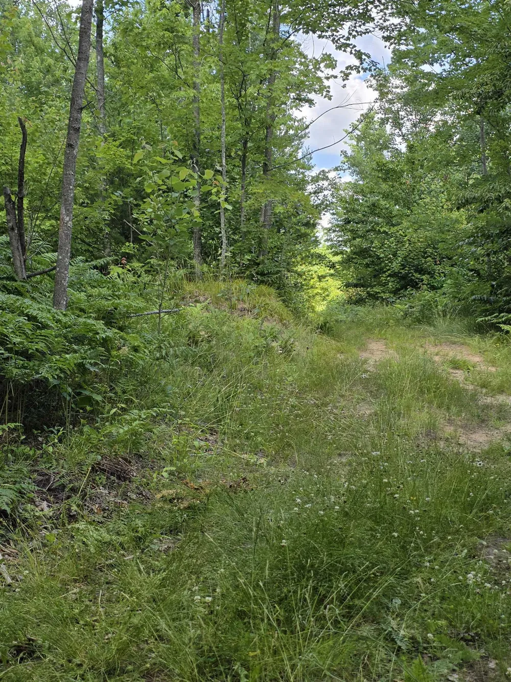 Mackinaw Trail Haring Charter Township, MI 49601