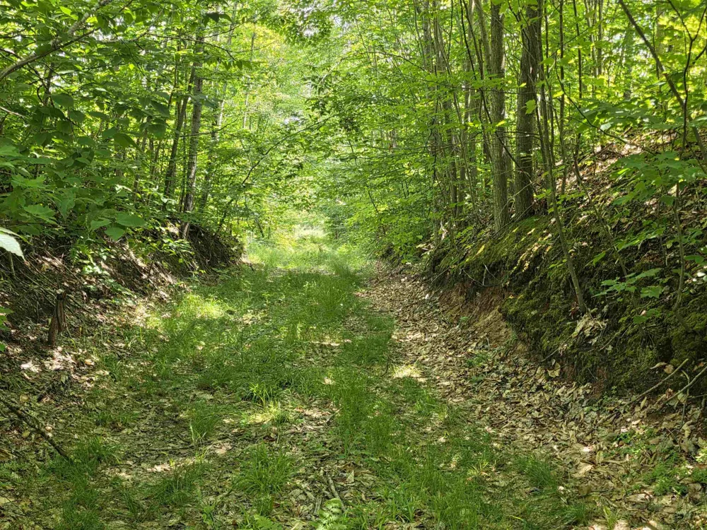 Mackinaw Trail Haring Charter Township, MI 49601