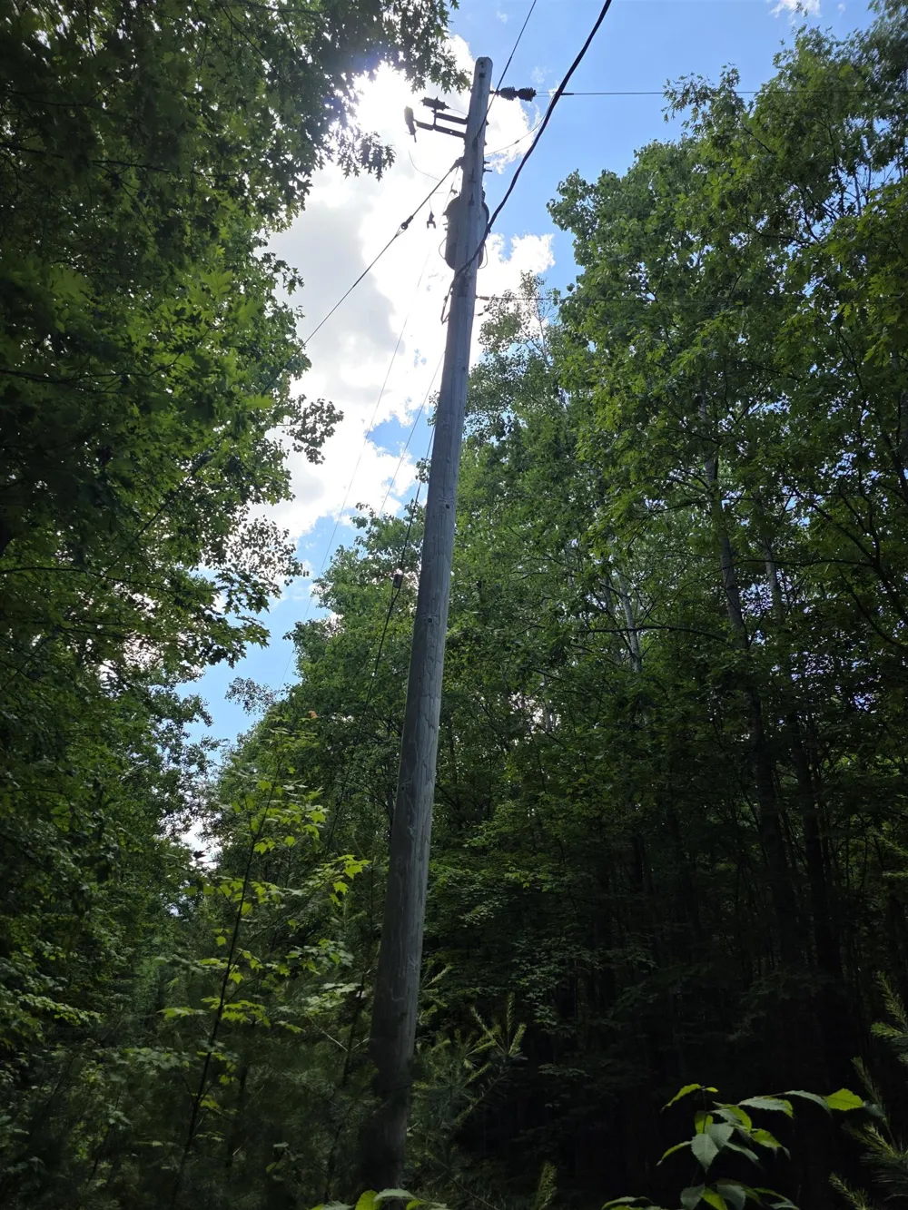 Mackinaw Trail Haring Charter Township, MI 49601