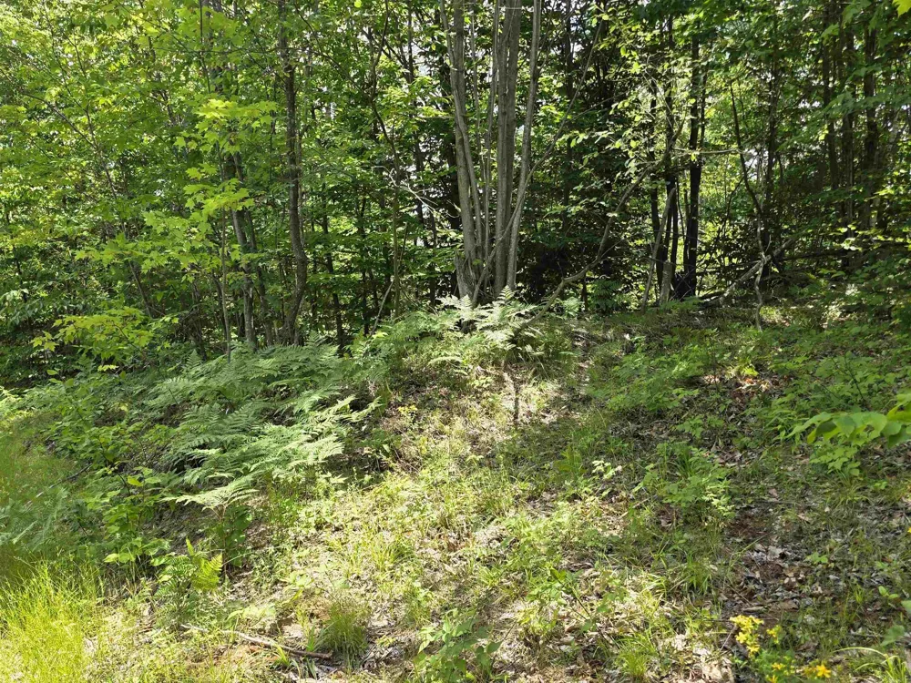 Mackinaw Trail Haring Charter Township, MI 49601
