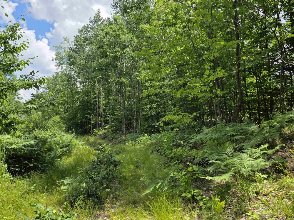 Mackinaw Trail Haring Charter Township, MI 49601