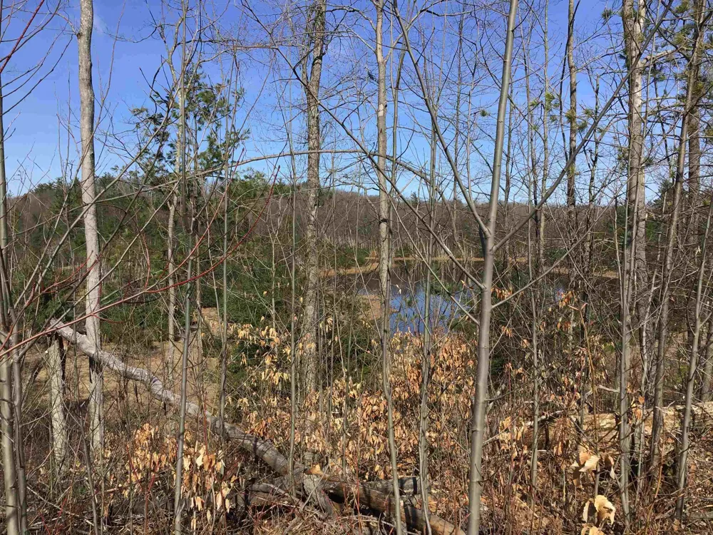 Mackinaw Trail Haring Charter Township, MI 49601