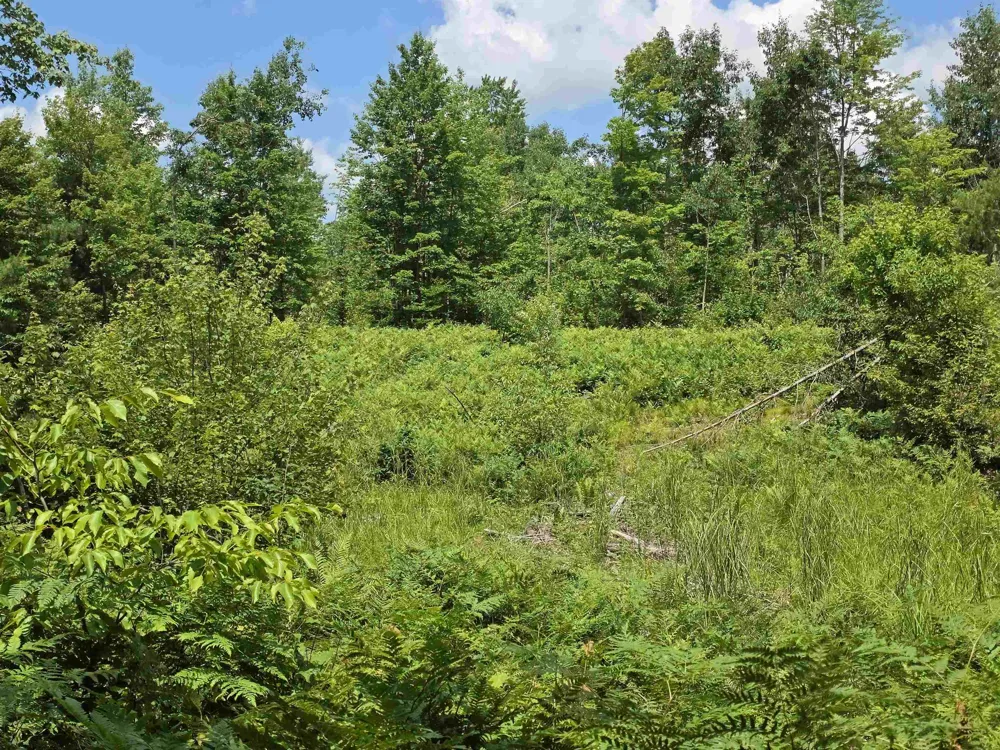 Mackinaw Trail Haring Charter Township, MI 49601