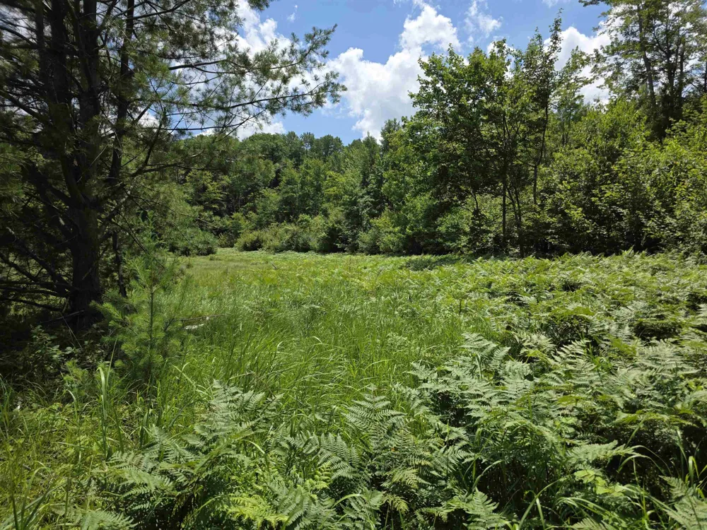 Mackinaw Trail Haring Charter Township, MI 49601