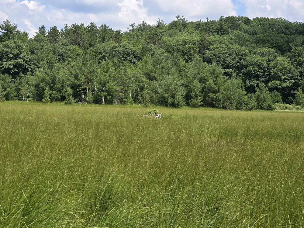 Mackinaw Trail Haring Charter Township, MI 49601