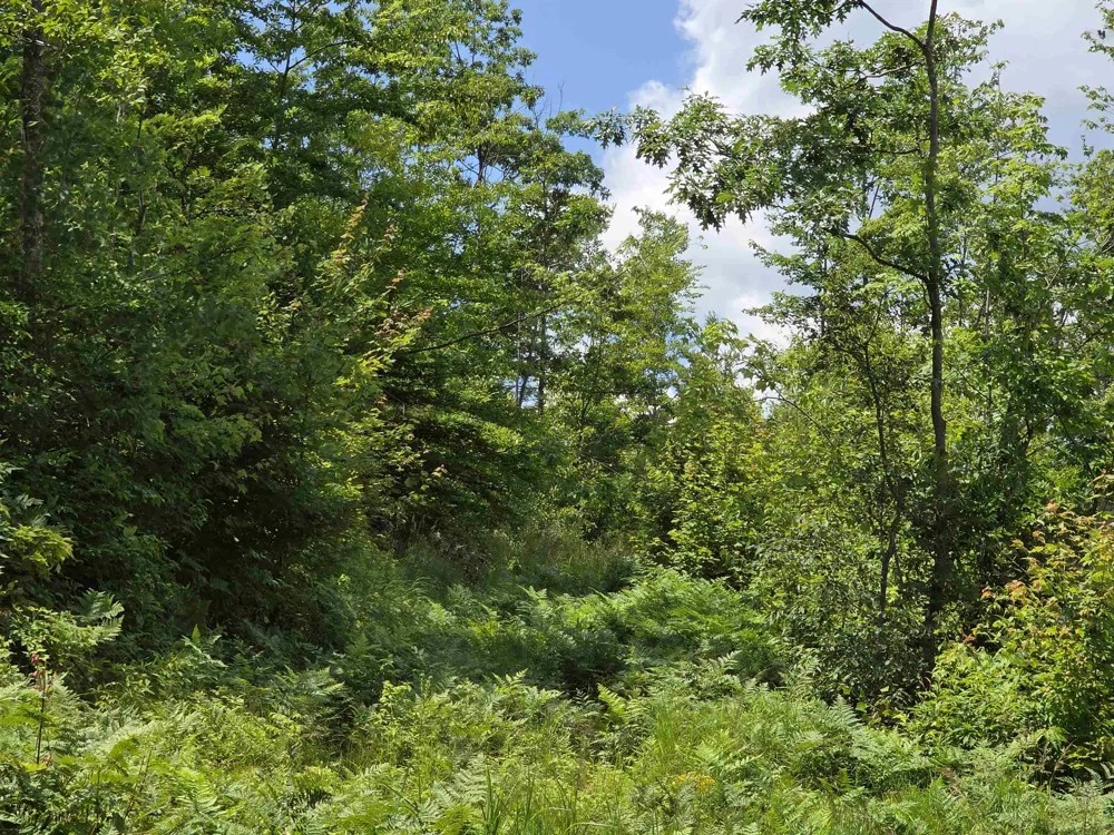 Mackinaw Trail Haring Charter Township, MI 49601