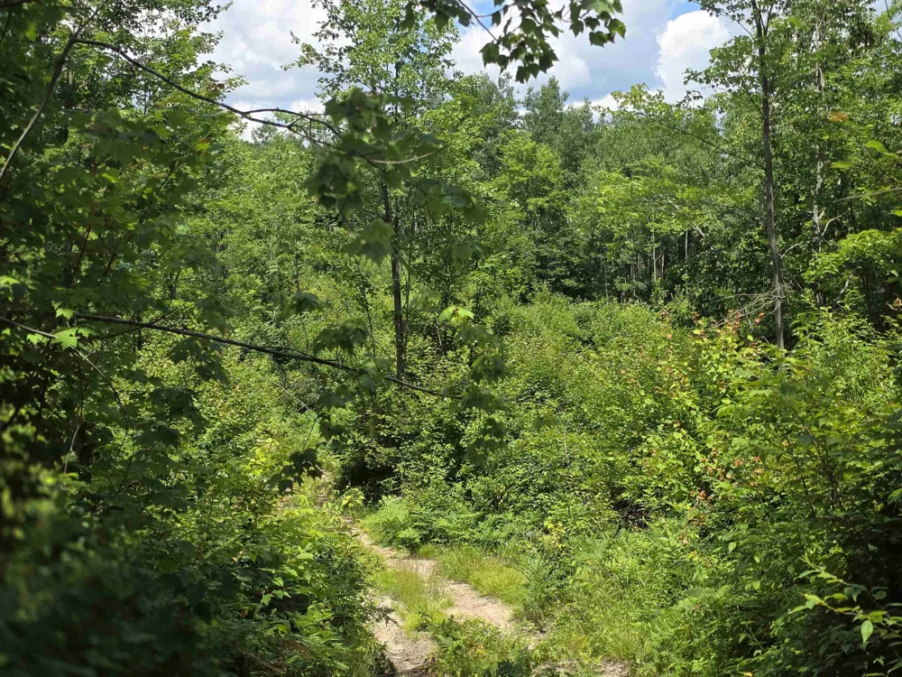 Mackinaw Trail Haring Charter Township, MI 49601