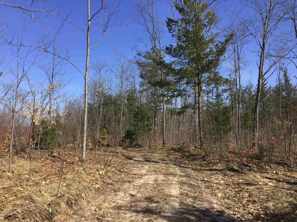 Mackinaw Trail Haring Charter Township, MI 49601