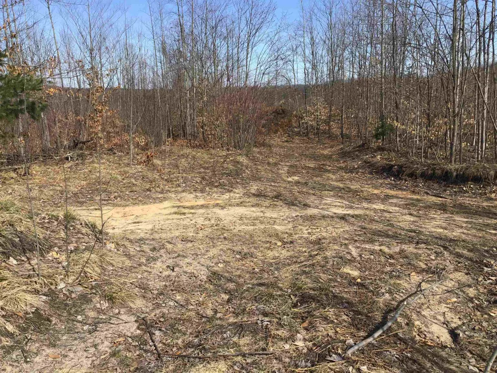 Mackinaw Trail Haring Charter Township, MI 49601