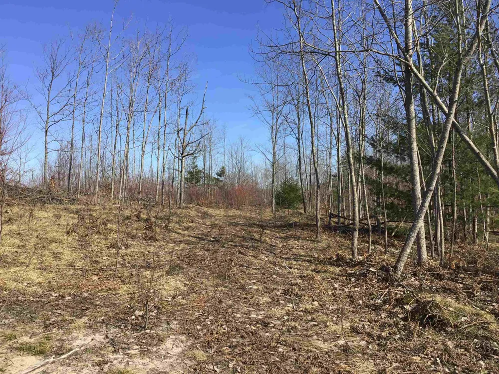 Mackinaw Trail Haring Charter Township, MI 49601