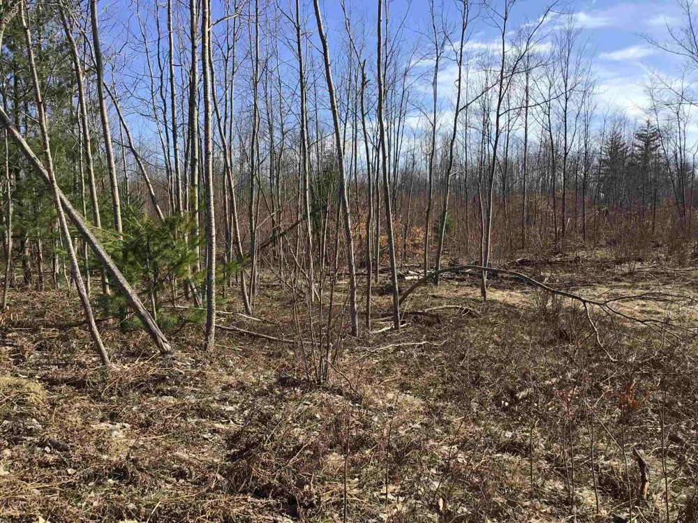Mackinaw Trail Haring Charter Township, MI 49601