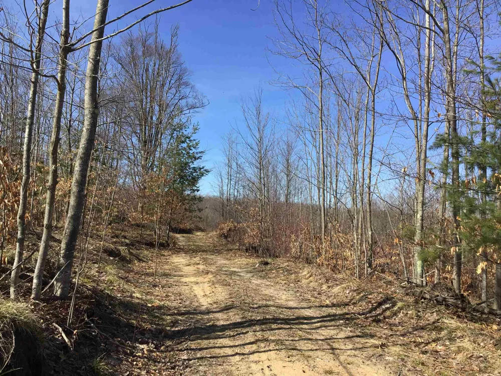 Mackinaw Trail Haring Charter Township, MI 49601