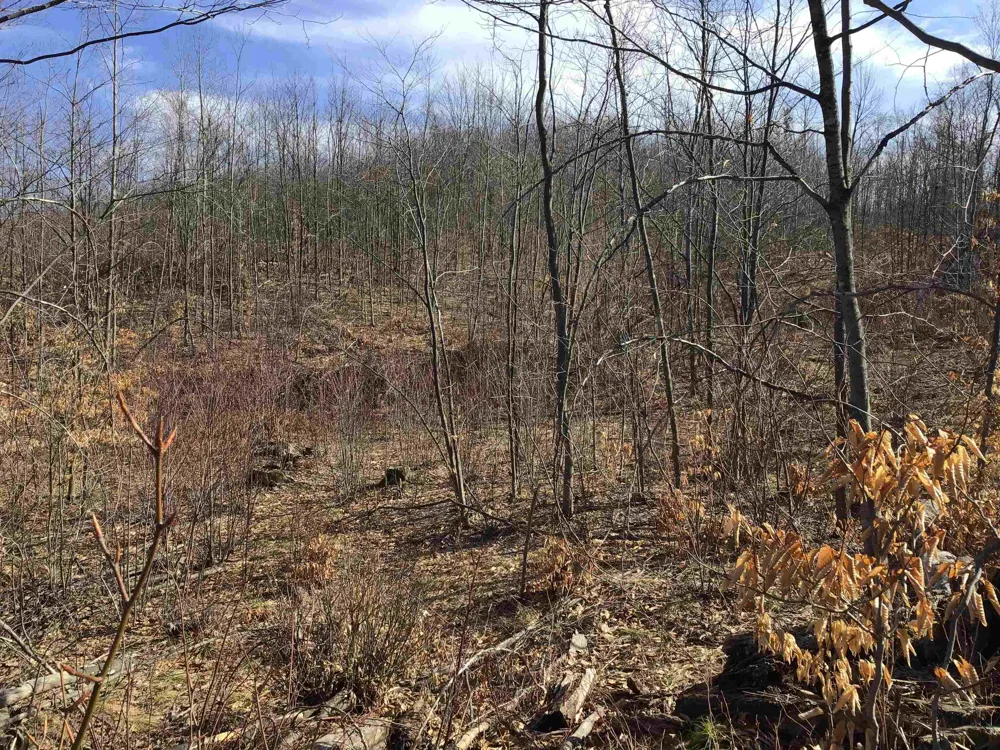 Mackinaw Trail Haring Charter Township, MI 49601
