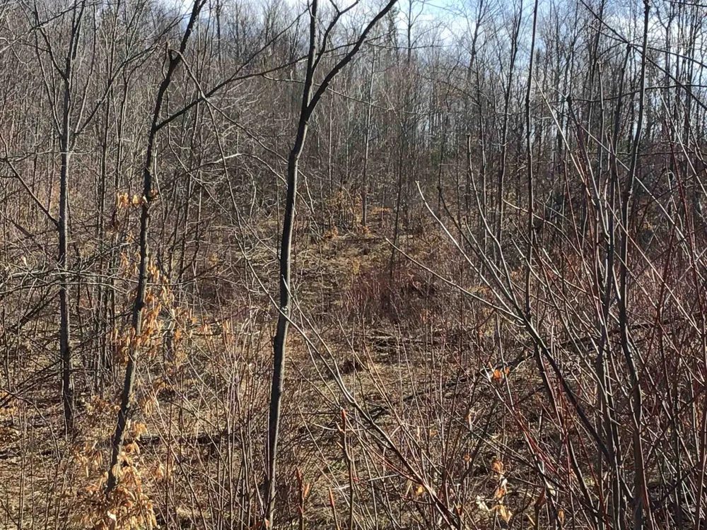 Mackinaw Trail Haring Charter Township, MI 49601