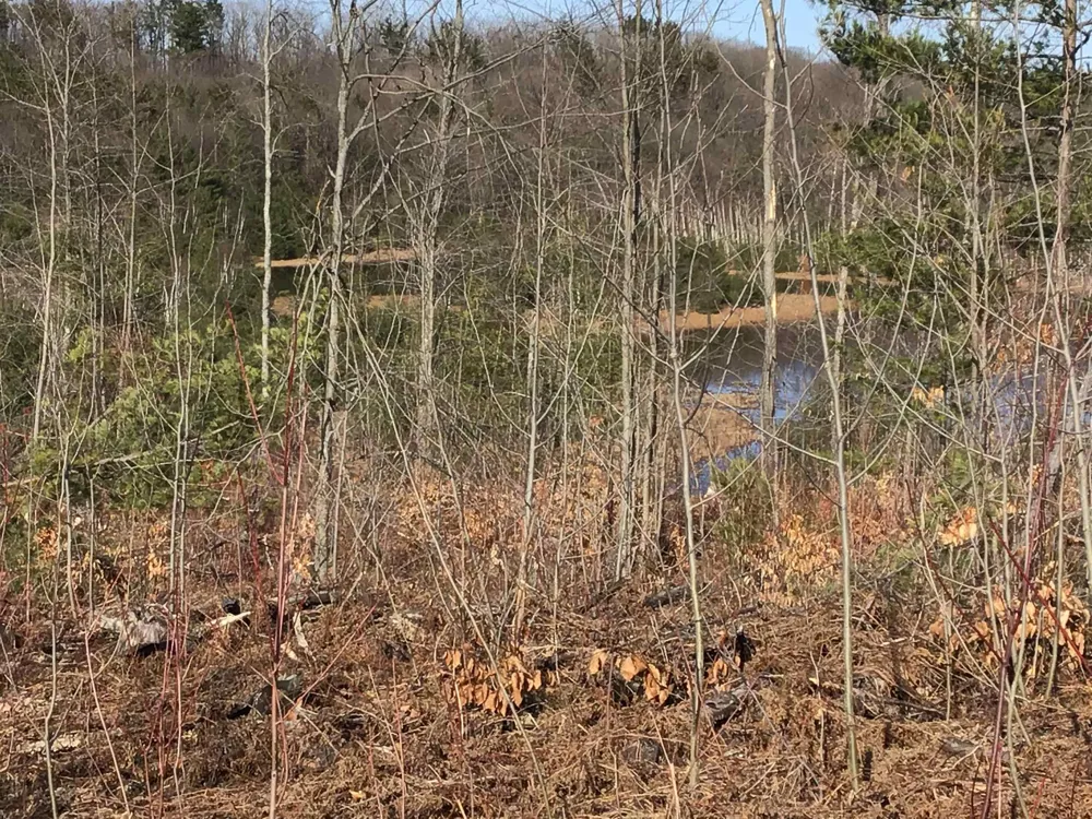 Mackinaw Trail Haring Charter Township, MI 49601