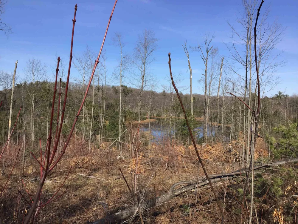 Mackinaw Trail Haring Charter Township, MI 49601