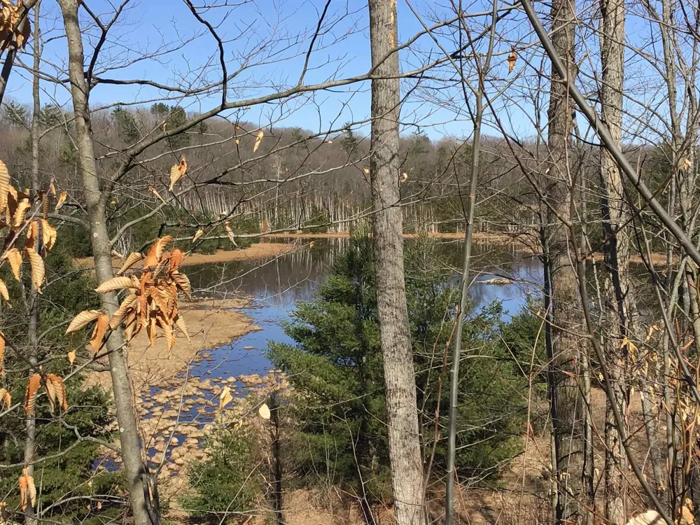 Mackinaw Trail Haring Charter Township, MI 49601