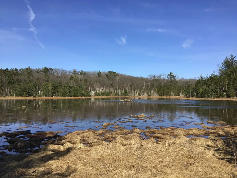 Mackinaw Trail Haring Charter Township, MI 49601